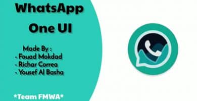 imagen última actualización Fouad WhatsApp