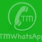 TMWhatsApp 8.30, un MOD de WhatsApp realmente único