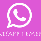 WhatsApp Femenino: Descubre los 4 mejores MODs para descargar